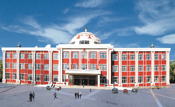 成吉思汗镇政府办公楼