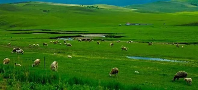 内蒙古高原简介（Brief of Inner Mongolia Plateau）