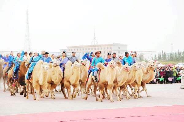阿拉善骆驼文化那达慕