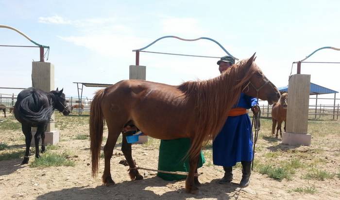 策格-最古老的蒙古饮料