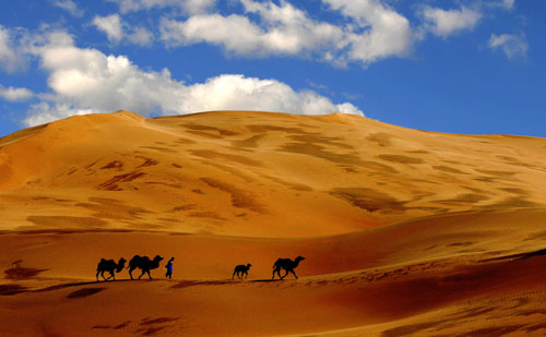 库布其沙漠神光响沙旅游区