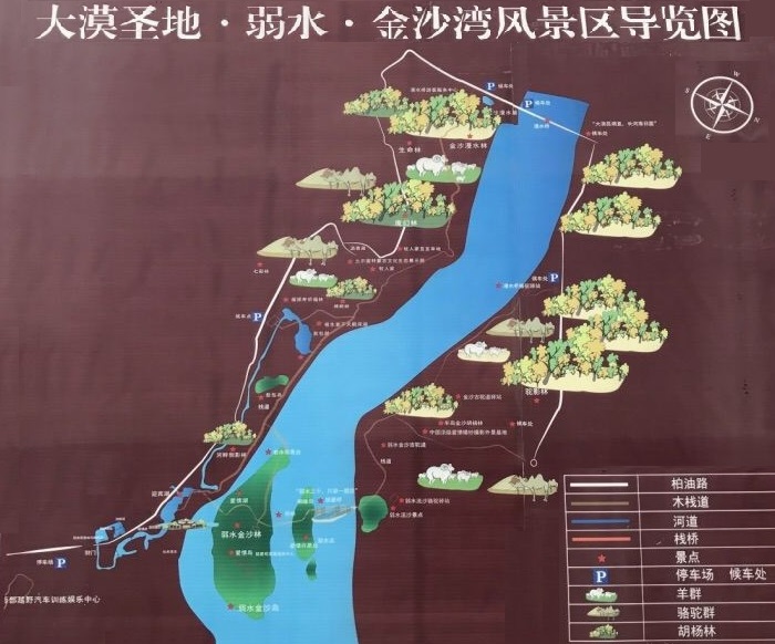 弱水·金沙湾胡杨林风景区导游图