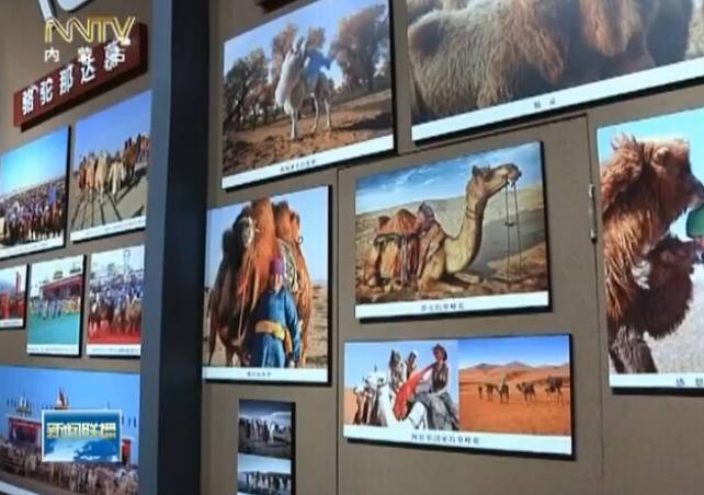 阿拉善骆驼文化博物馆